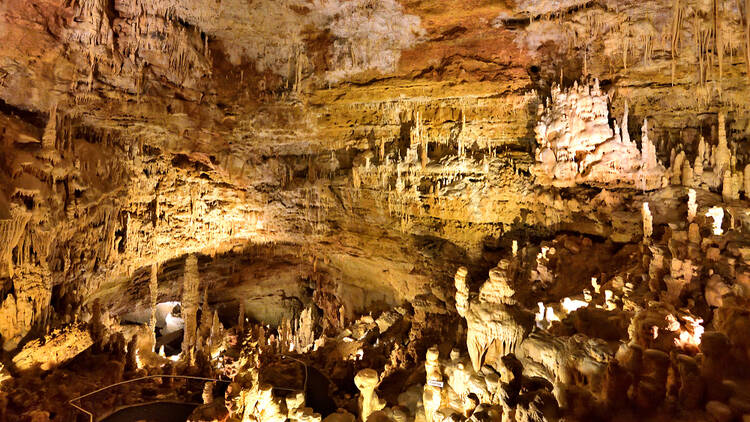Watch Mexican free-tailed bats soar at Natural Bridge Caverns