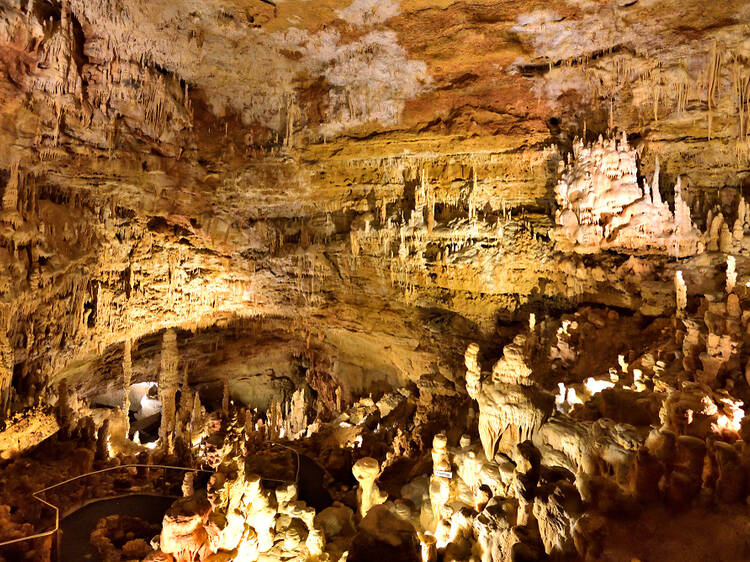 Watch Mexican free-tailed bats soar at Natural Bridge Caverns