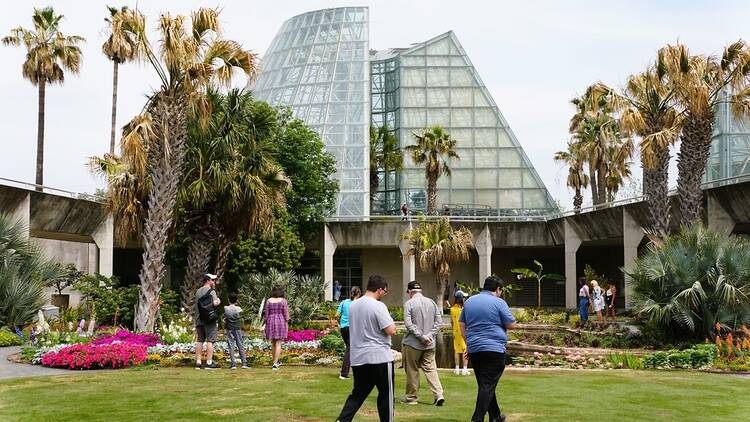 Learn gardening skills at the San Antonio Botanical Garden