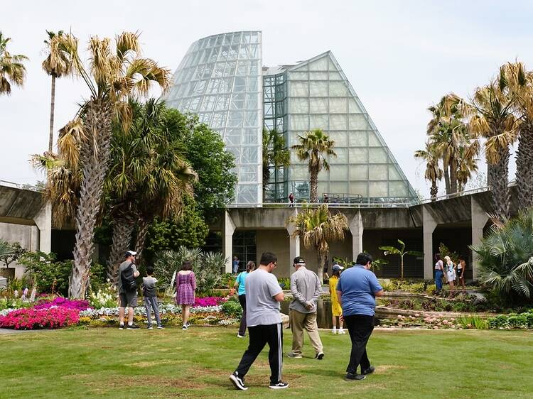 Learn gardening skills at the San Antonio Botanical Garden