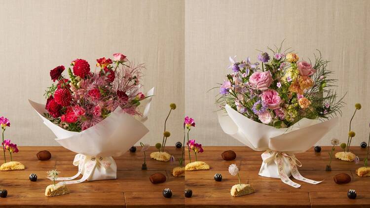van der Bloom