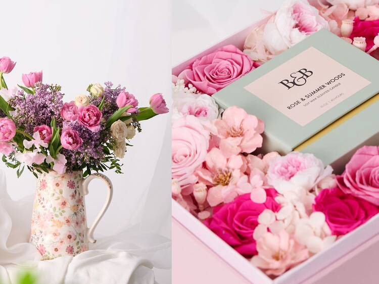 Blooms & Blossoms