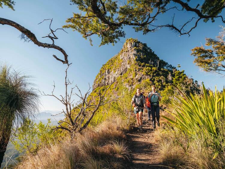 People hiking on outdoor trail