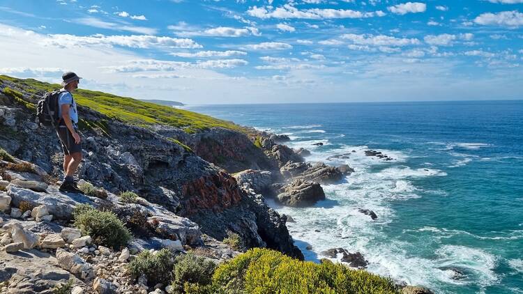 Whale Trail, South Africa