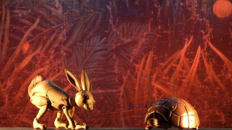 The Hare and the Tortoise