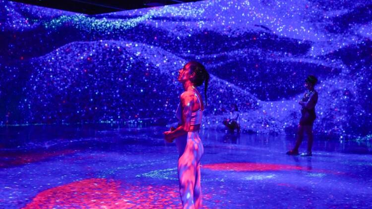 Immersive Yoga Immersive Yoga