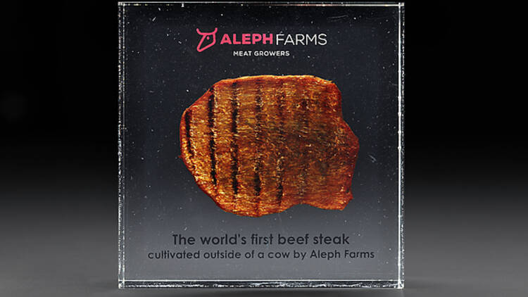 Lab cultured steak, preserved in perspex Lab cultured steak, preserved in perspex