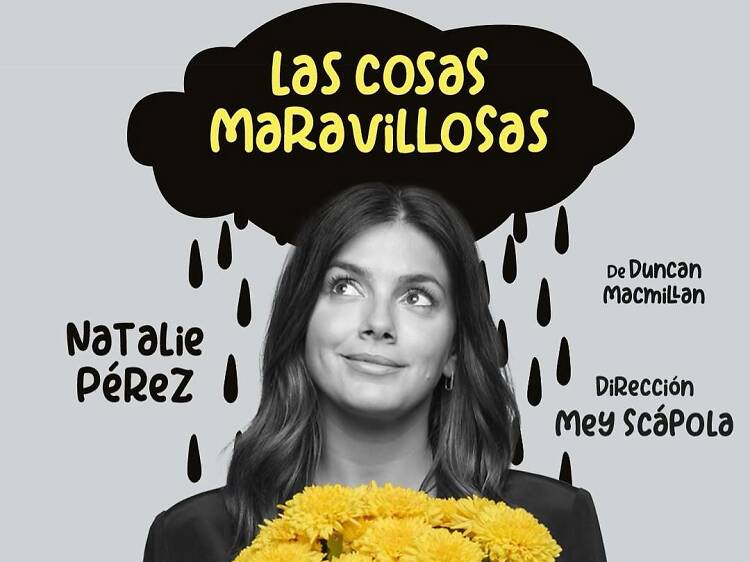 Las cosas maravillosas