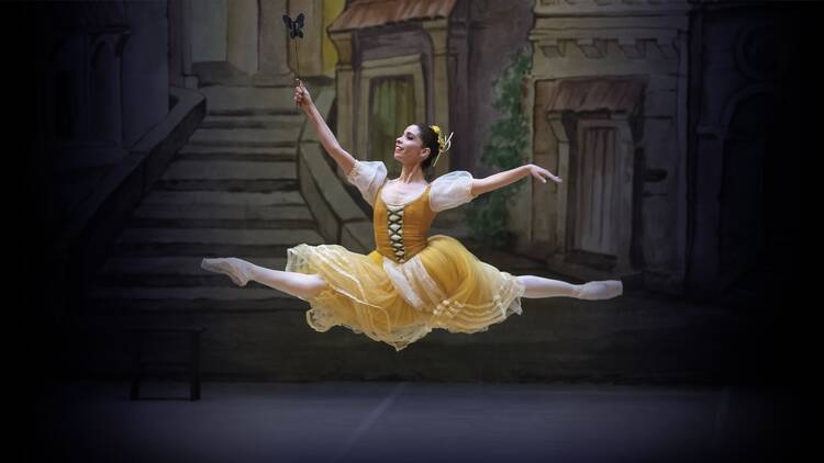 Coppélia Compañía Nacional de Danza Palacio de Bellas Artes 