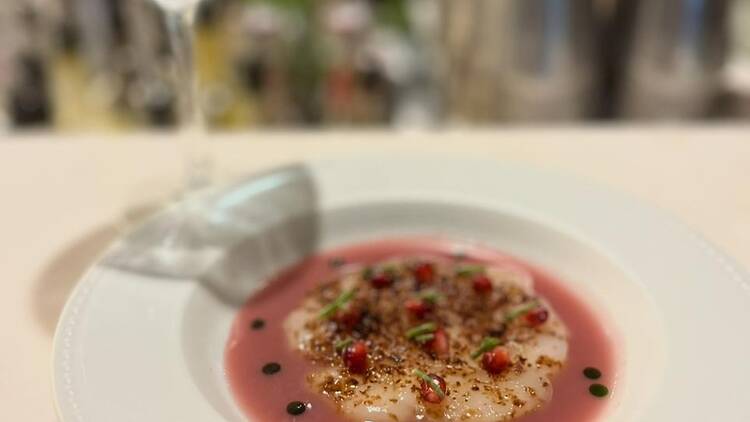 Crudo de Vieiras do Sult: potência e frescor