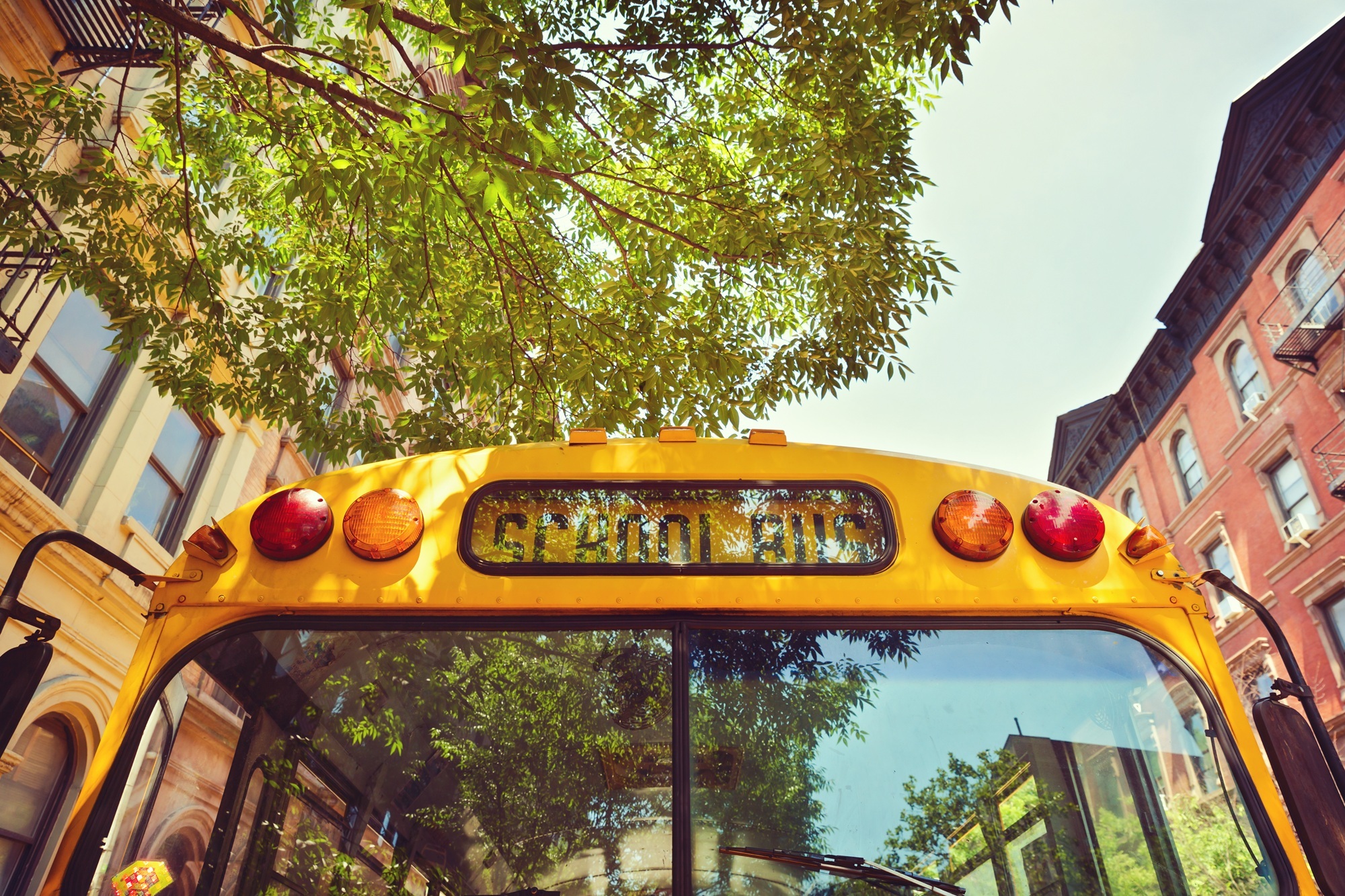 New York ranks #1 in US for education quality, per new study