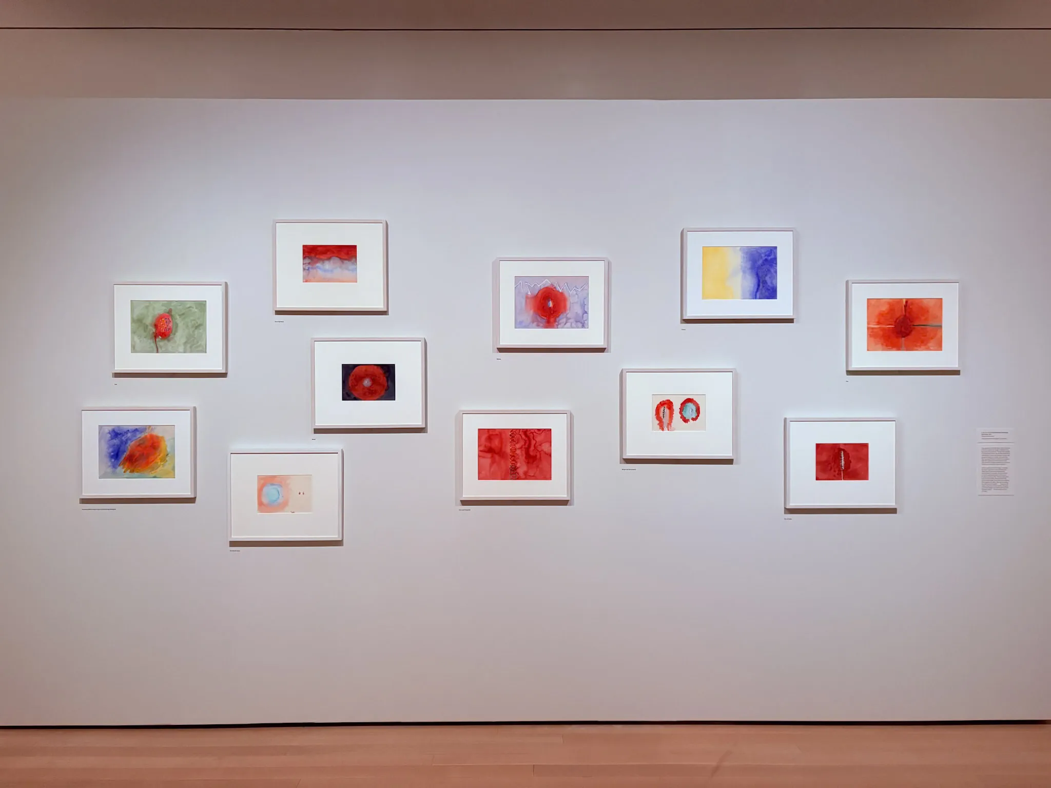 A series of paintings at Hilma af Klint’s What Stands Behind the Flowers exhibit at MoMA