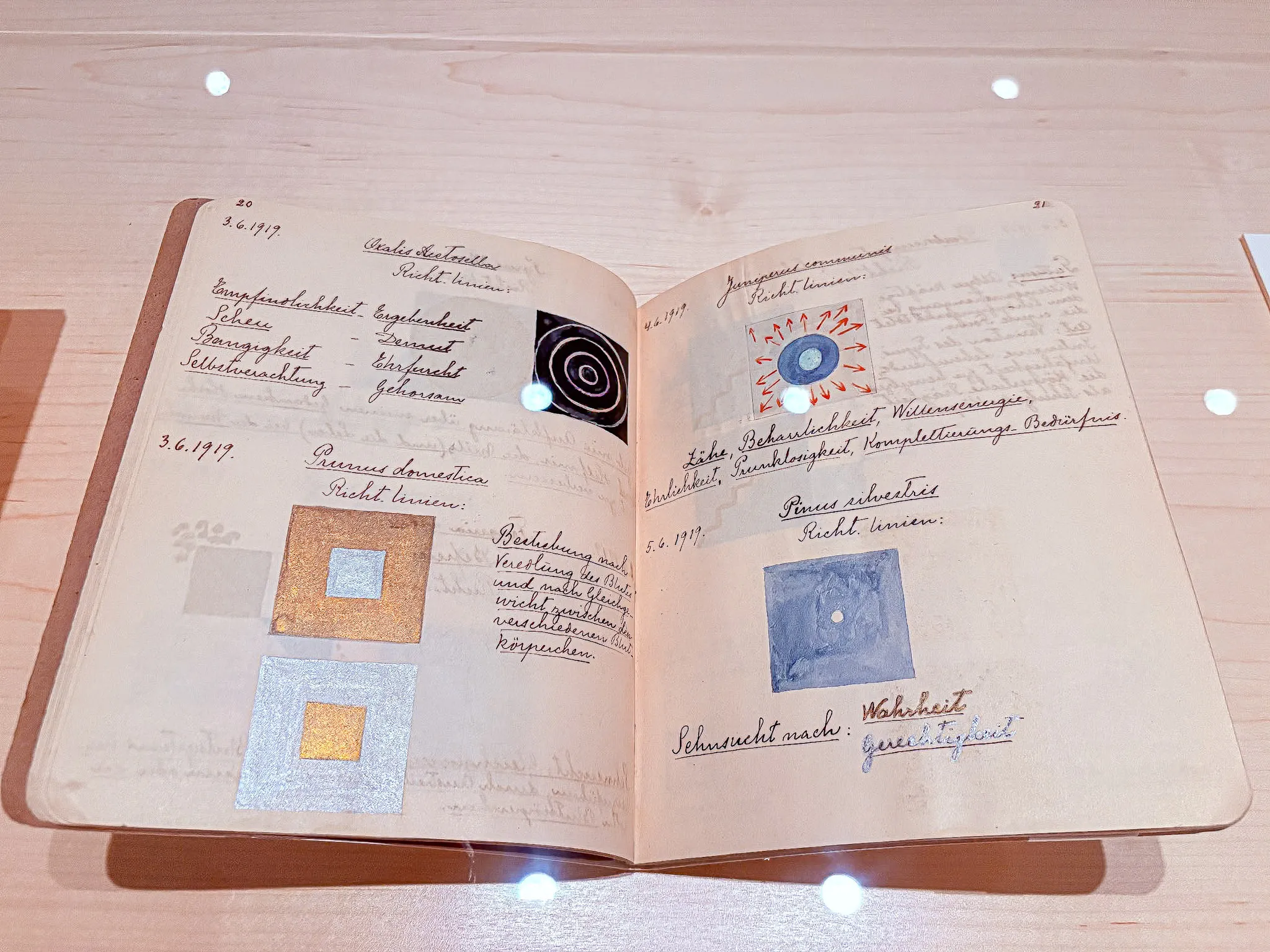 A journal belinging to Hilma af Klint at the What Stands Behind the Flowers exhibit at MoMA