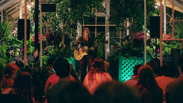 SoFar Sounds A SoFar Sounds concert.