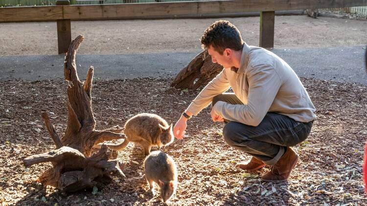 Featherdale Wildlife Park