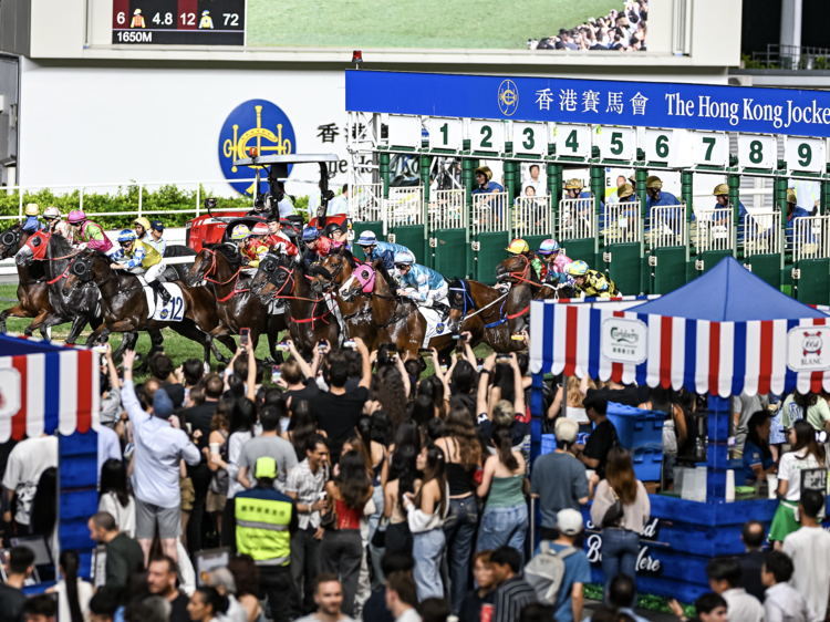 Winter Wonderland – Celebrating festive magic with thrilling races