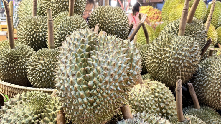 Chiang Mai Durian Fest