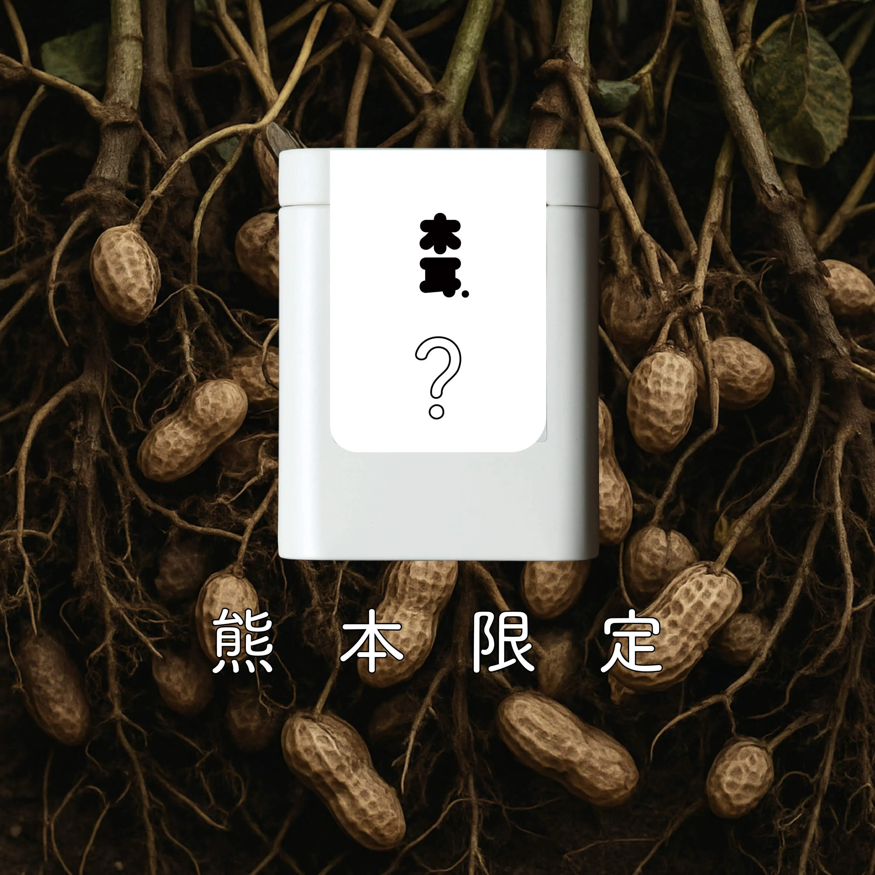 木耳 Muer.