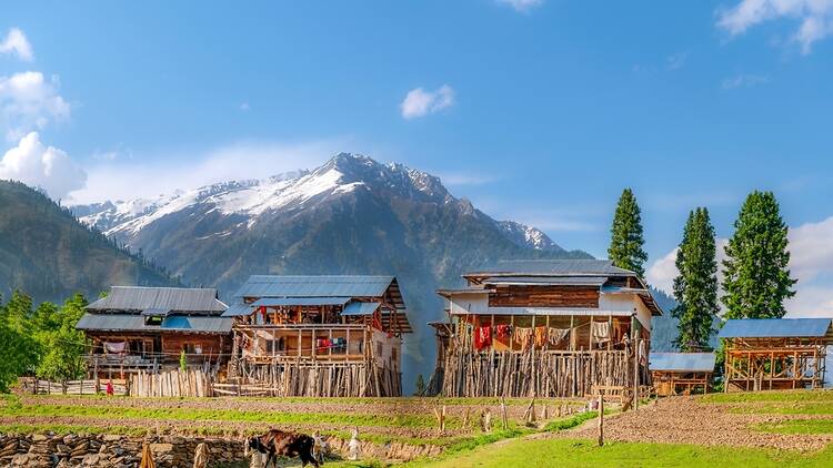 Kashmir