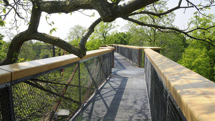 The Treetop Walkway at Royal Botanic Gardens, Kew