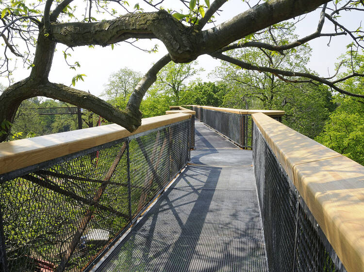 The Treetop Walkway at Royal Botanic Gardens, Kew