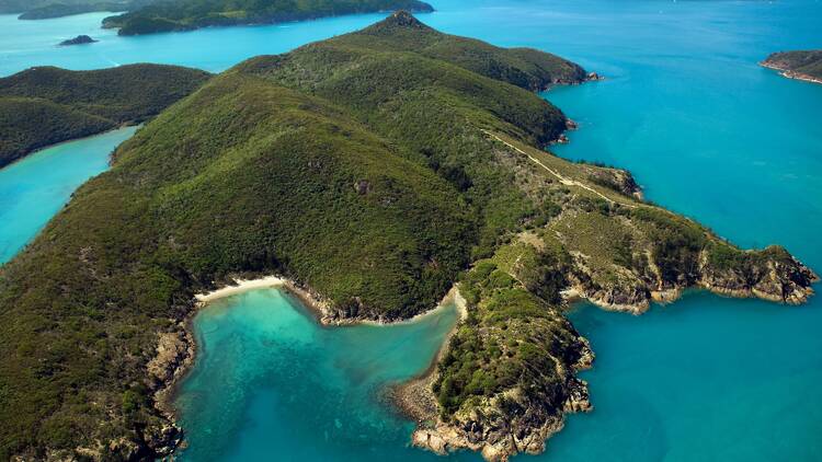 Aerial of Hamilton Island