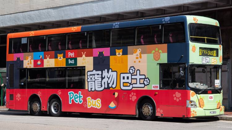 Discovery Bay pet bus