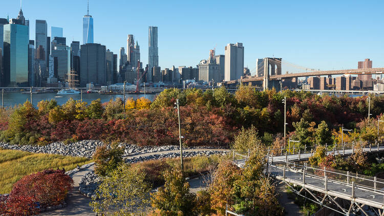 Brooklyn Bridge Park, Brooklyn, BBP, park, summer, august, sun, sunny, family, family friendly, kids, bridge, brooklyn bridge, green area, activities, active, views, view, beauty shots, Dumbo, Brooklyn, views, bridge, skyline, scenic, beauty shot, summer