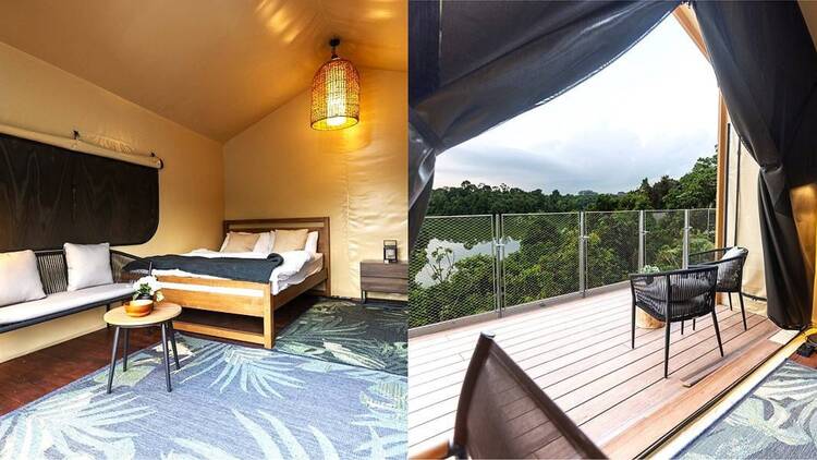 Colugo camp
