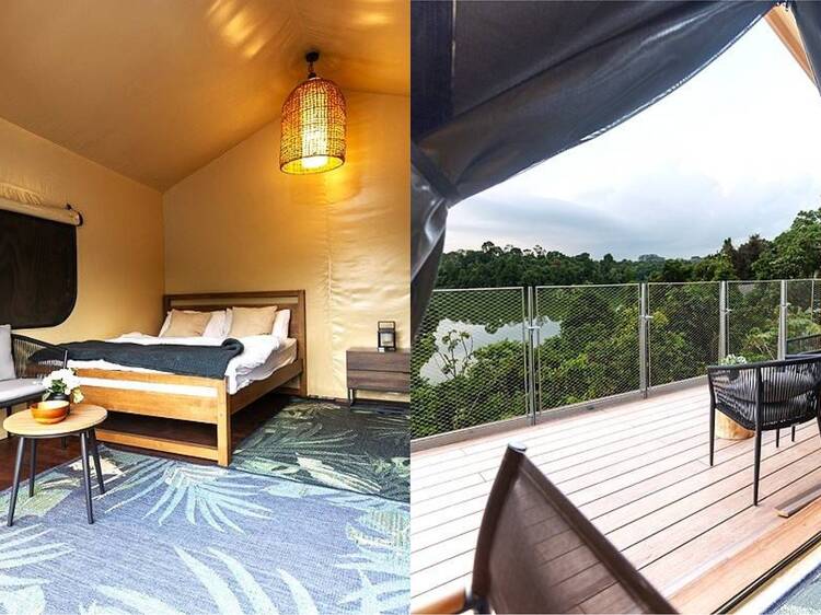 Go glamping in air-conditioned safari tents at a new campsite in Mandai Wildlife Reserve