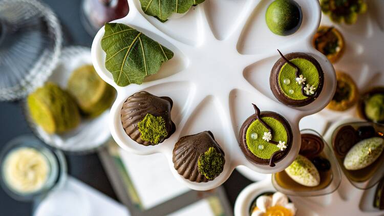 Kiko Matcha Afternoon Tea Collection 
