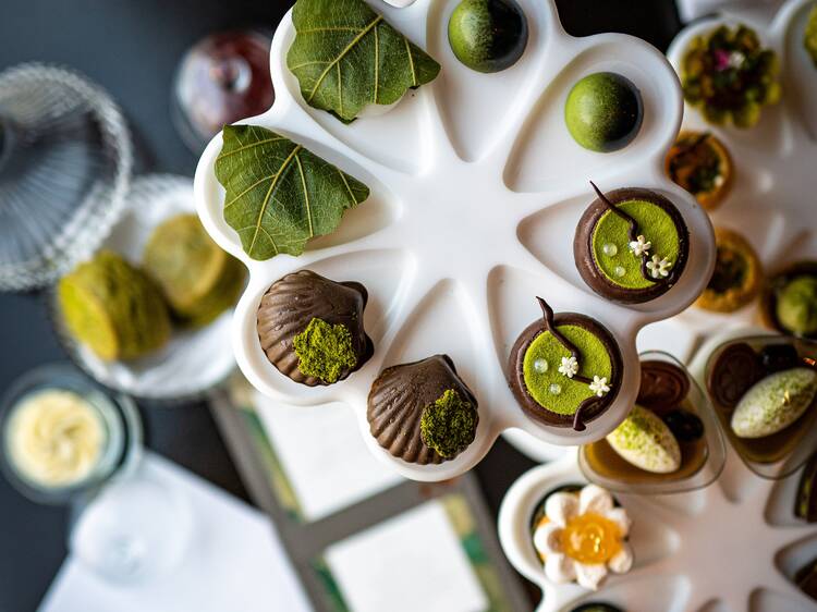 Kiko Matcha Afternoon Tea Collection 