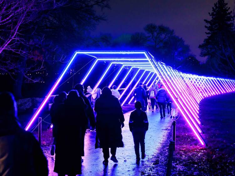 Lightscape