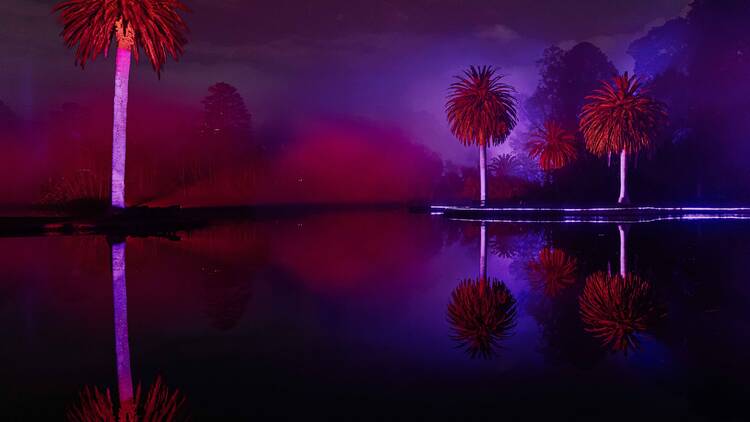 Trees lit up red and purple. 