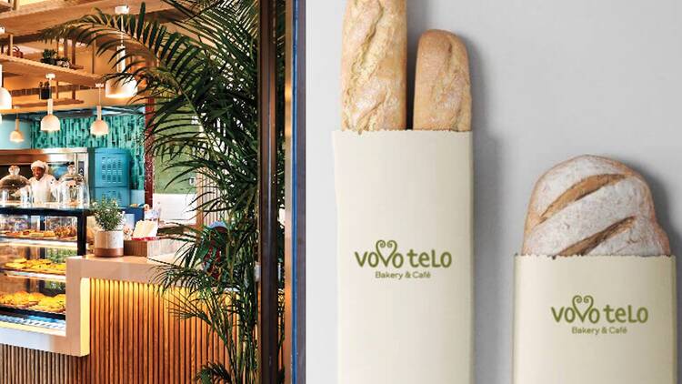Vovo Telo