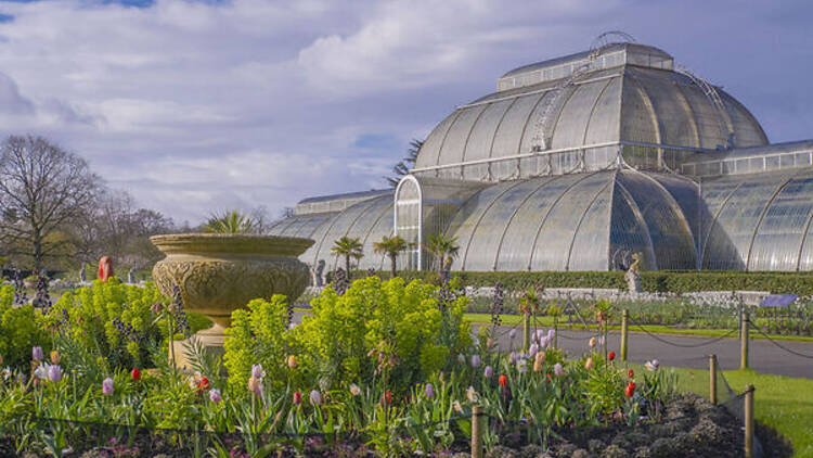 The Palm House at Kew Gardens, Spring/Summer 2024.