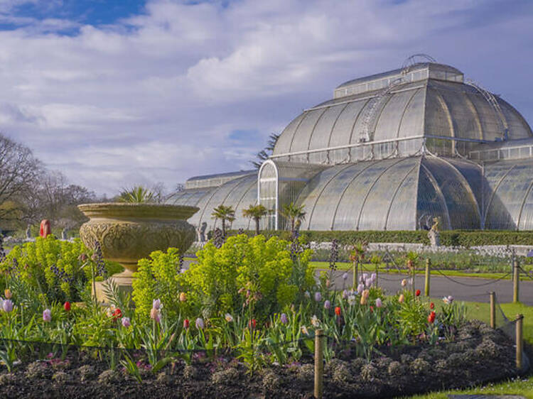 London’s 10 best gardens, according to the Telegraph London’s 10 best gardens, according to the Telegraph