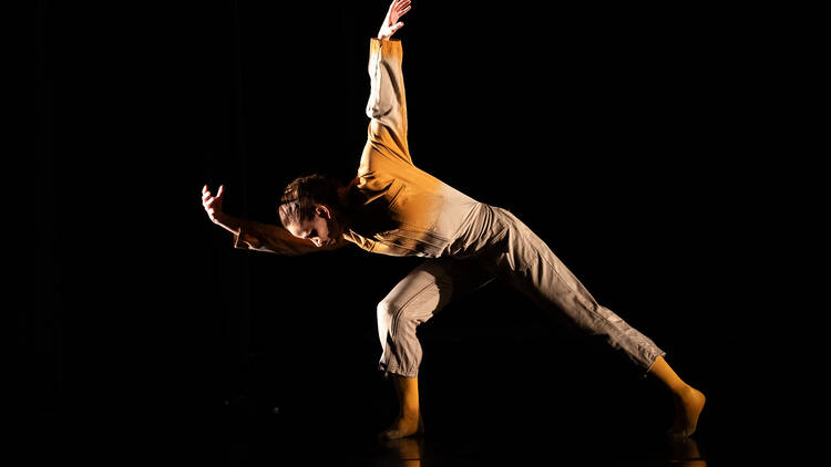 Ecos Compañia Nacional de Danza 30 pesos 