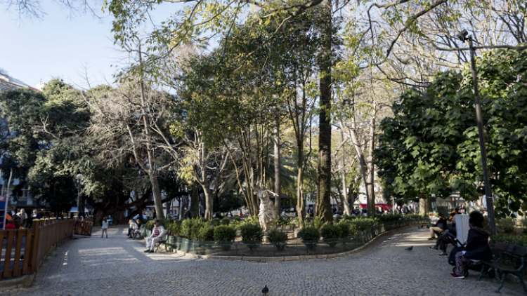 Paragens obrigatórias em Campo de Ourique