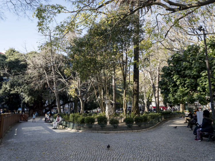 Paragens obrigatórias em Campo de Ourique