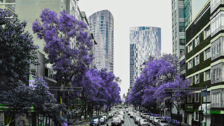 CDMX entre las ciudades con más tráfico en América