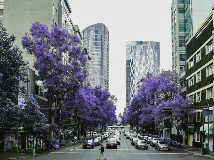 CDMX entre las peores de ámerica tráfico 2025