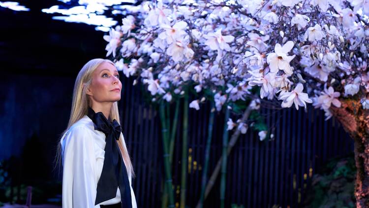 Gwyneth Paltrow, a white blond woman, looks up at an immersive floral exhibit.