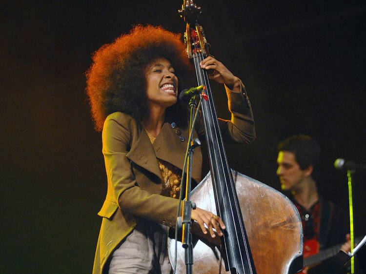 Chicago Jazz Fest announces headliners for summer 2025