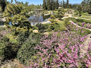 Stroll around the Japanese Garden Stroll around the Japanese Garden