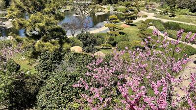 Stroll around the Japanese Garden Stroll around the Japanese Garden