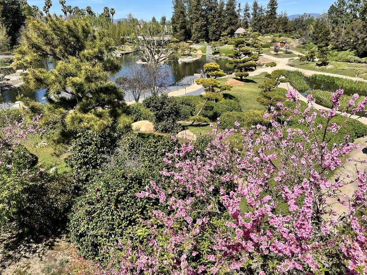 Stroll around the Japanese Garden