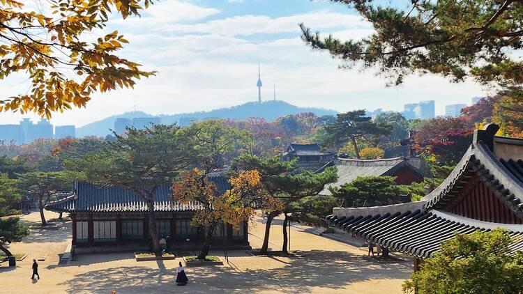韓國自由行2025｜最新韓國旅遊實用 App/Naver/Papago/Kakao Talk