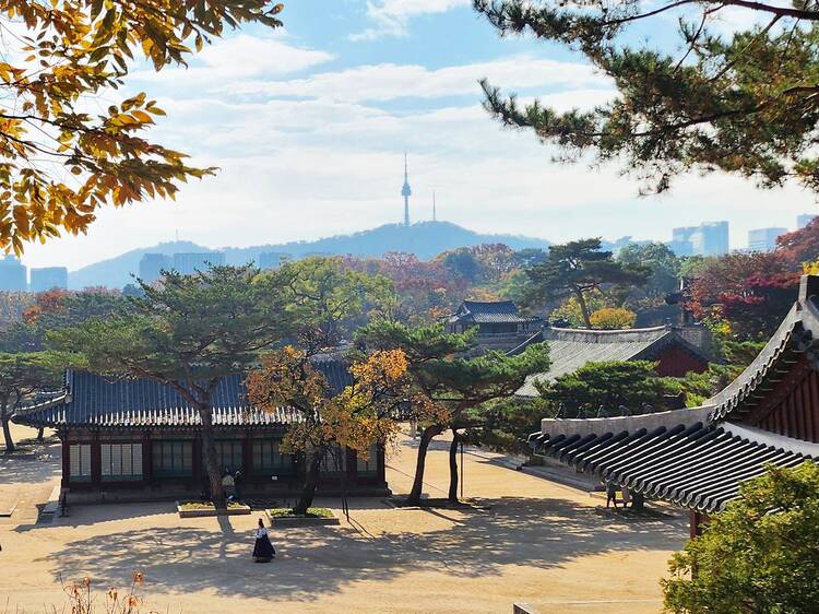 韓國自由行2025｜最新韓國旅遊實用 App/Naver/Papago/Kakao Talk