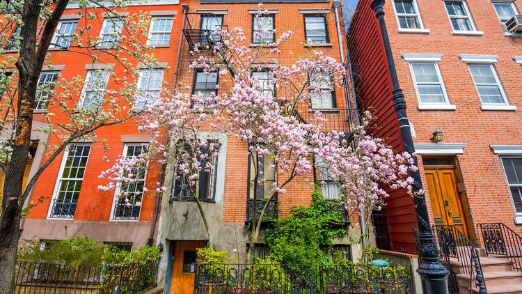 Rowhouses in New York City
